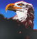 Andy Warhol , American Eagle, Screenprint 1983 FRAMED