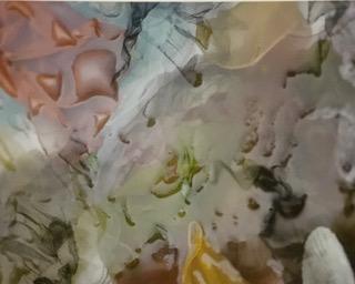 Sally Mann #2 8x10 Polaroids: Sally Mann #2 8x10 Polaroids- 6x7.5 matted 11x13. Vintage printing Photolitho, The actual items are crisp images Black on black archival matting