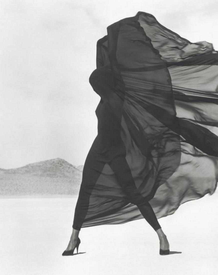 Herb Ritts, Versace veiled dress, El Mirage, 1990: Herb Ritts, Versace veiled dress, El Mirage, 1990. Vintage printing from portraits The actual items are crisp images Black on black archival matting , approx : 11x14 inches