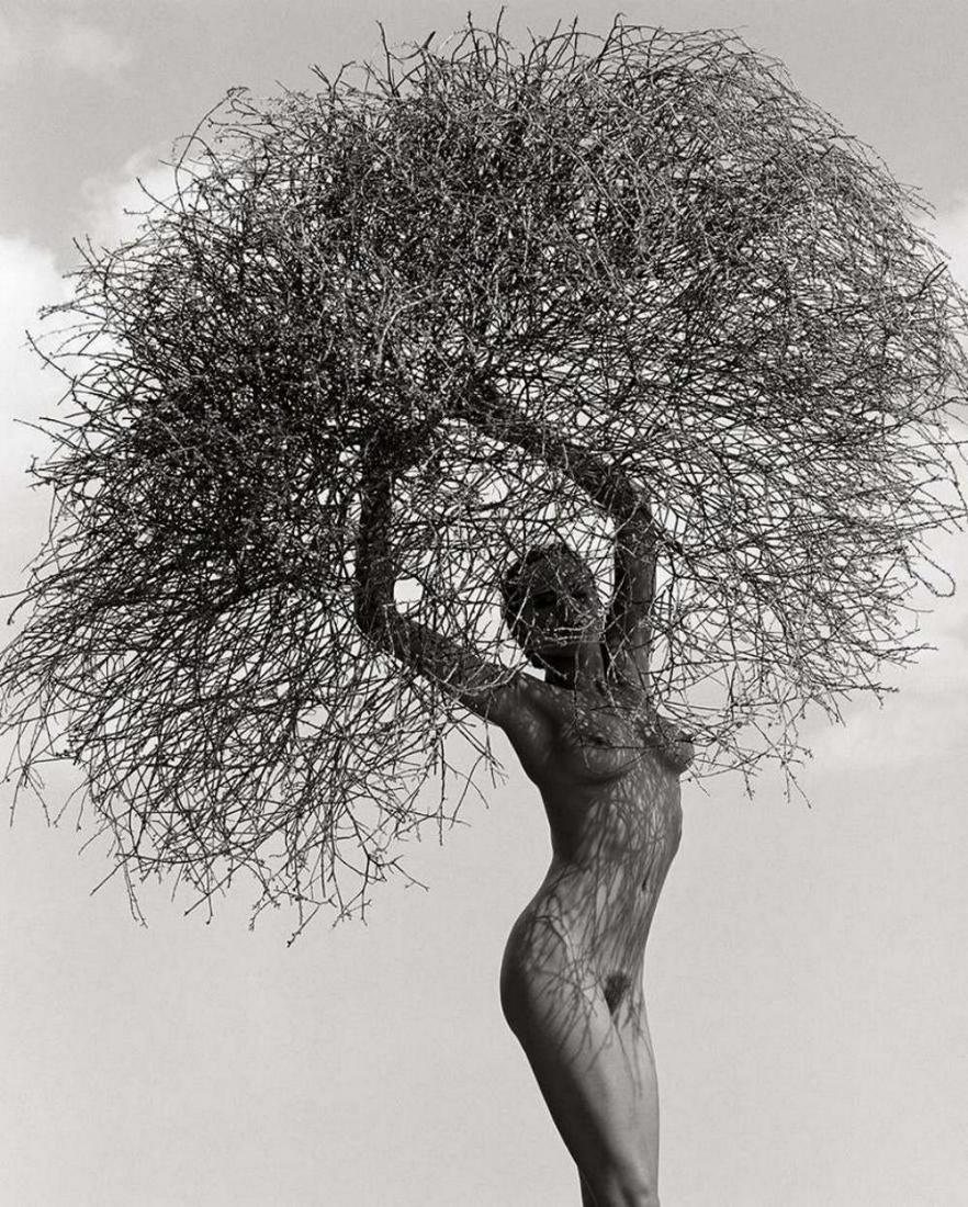 Herb Ritts - Neith with tumbleweed, Paradise cove 1986: Herb Ritts - Neith with tumbleweed, Paradise cove 1986 . Vintage printing from portraits The actual items are crisp images Black on black archival matting , approx : 11x14 inches