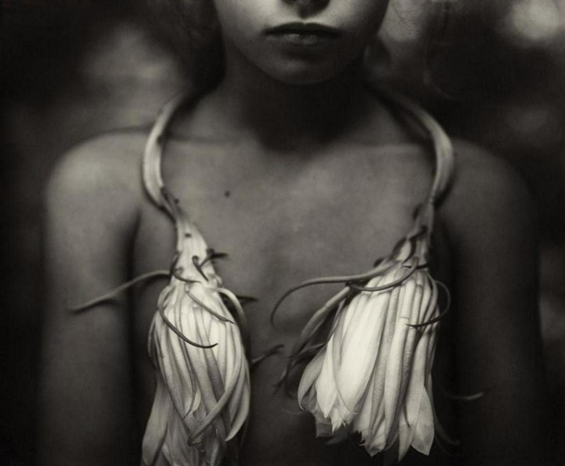 Sally Mann #3 immediate family “night blooming cereus: Photographer: Sally Mann is an American photographer, widely known for her large-format, black-and-white photographs—at first of her young children, then later of landscapes suggesting decay and dea