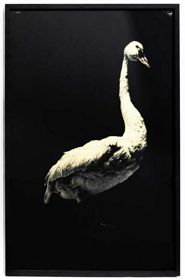 Todd Murphy, "Goose" mixed media monotype Framed: Todd Murphy (American (Georgia), b. 1962 -). "Goose" - 21st century, mixed media monotype. A figural depiction of using gold fabric over straw and tulle behind painted Plexiglas Approx. 49.75" x 33.5"