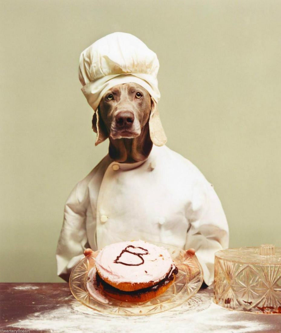 WILLIAM WEGMAN 'B is for Baker', 2012 Limited Edition: WILLIAM WEGMAN (b. 1943), 'B is for Baker (Pat-a-Cake)' (from William Wegman's Mother Goose series), 1996/2012 Limited Edition Color Photograph Gicl?©e on Hahnemuhle (100% cotton rag) paper. Dimensio