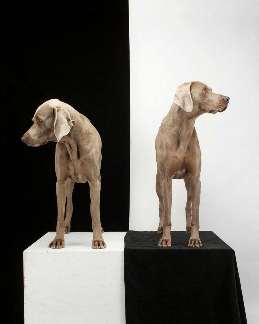 WILLIAM WEGMAN 'Game Board' 2003 SIGNED Limited Edition (1 of 3)