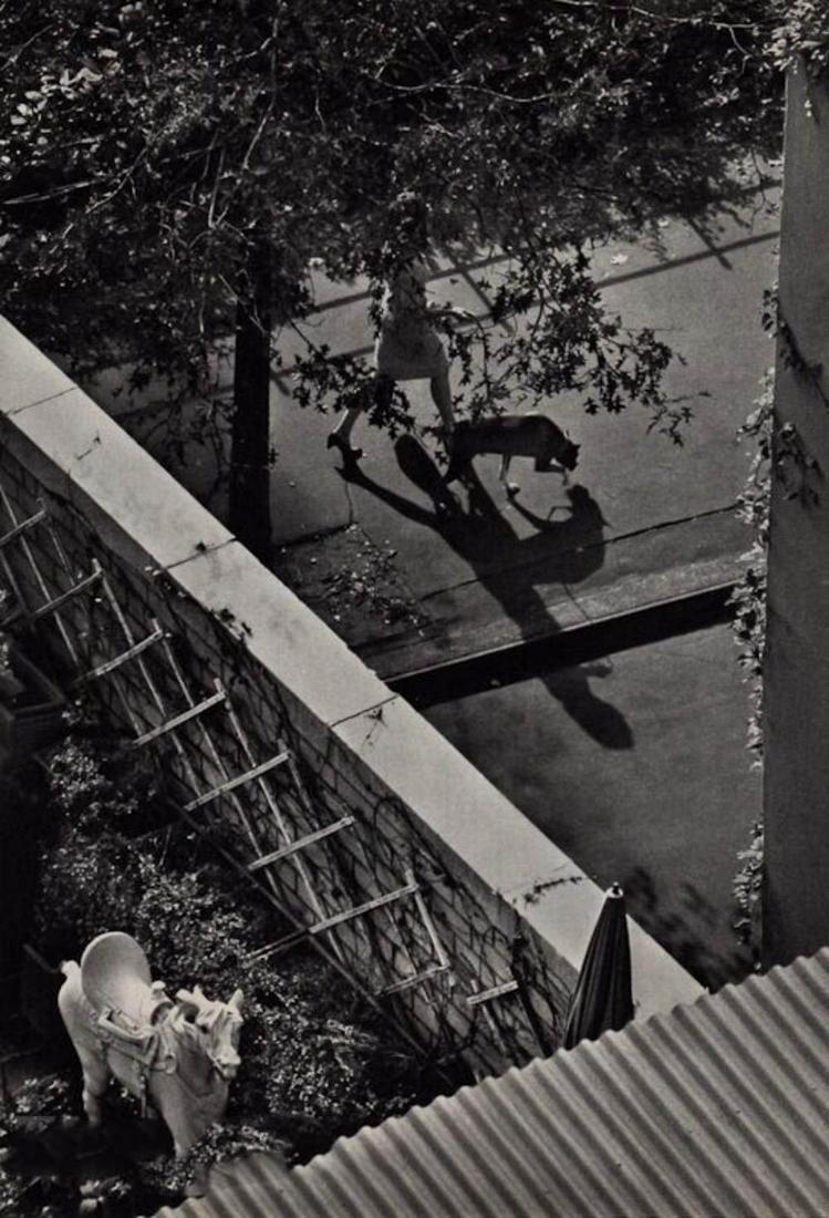 ANDRE KERTESZ, 1962 THE WHITE HORSE New York (1 of 1)
