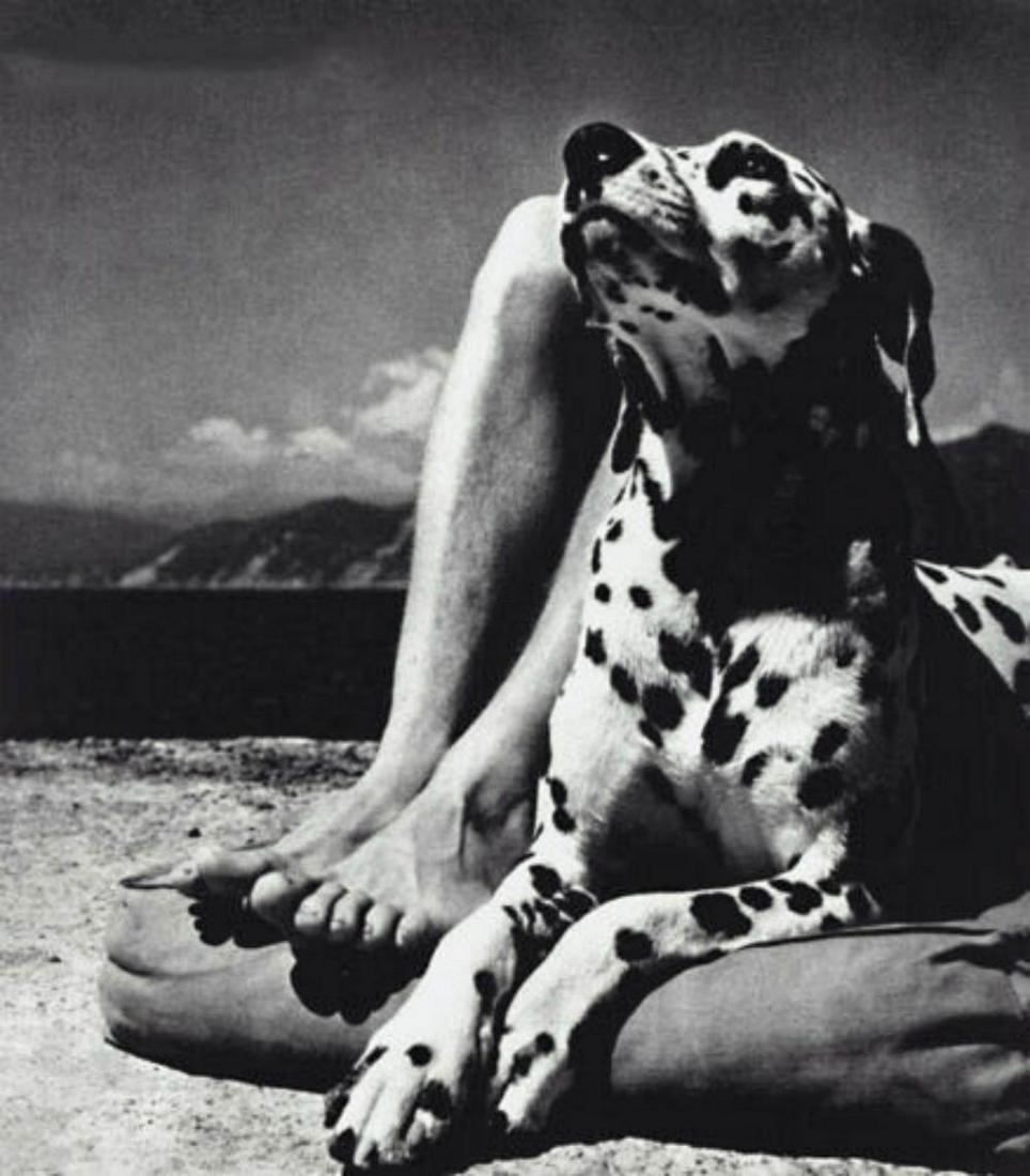 HERBERT LIST, Dalmatian Dog Italy Beach, 1936: Photographer: Herbert List (German, 1903 - 1975) - Internationally renowned German photographer. Subject: Semi Nude Male Legs and Dalmatian Dog on waterfront in Capri, Italy. Date Of Negative: 1936 Ty