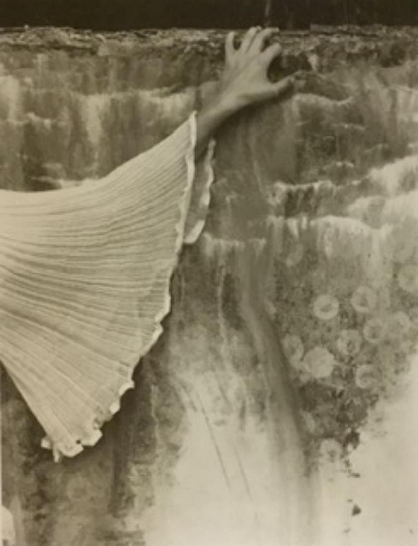 Sally Mann, #2 platinum 1978: Photographer: Sally Mann is an American photographer, widely known for her large-format, black-and-white photographs—at first of her young children, then later of landscapes suggesting decay and dea