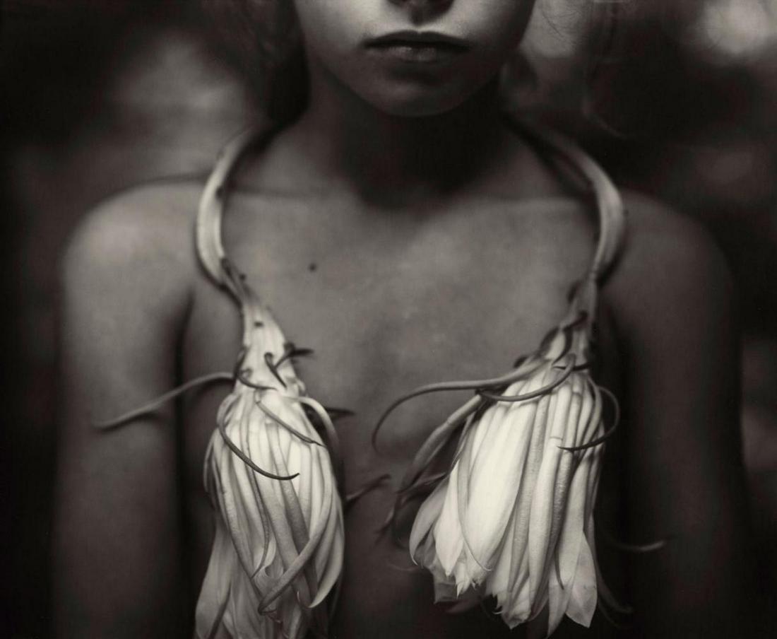 Sally Mann, Night blooming cereus , 1988: Photographer: Sally Mann is an American photographer, widely known for her large-format, black-and-white photographs—at first of her young children, then later of landscapes suggesting decay and dea