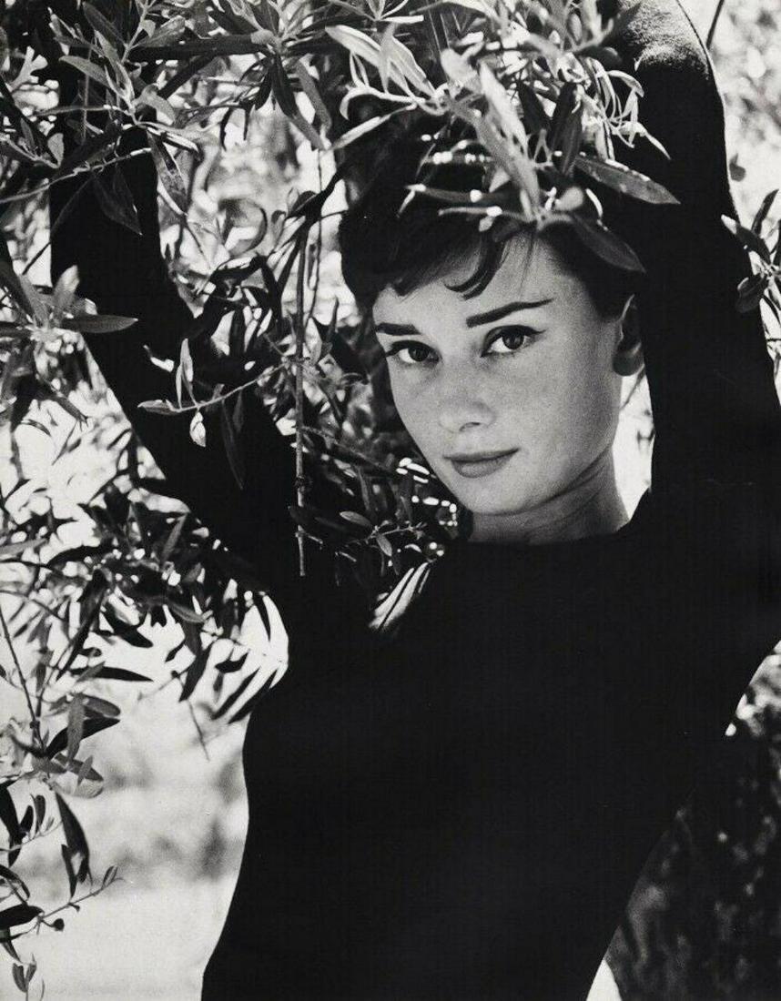 PHILIPPE HALSMAN, 1950s Vintage AUDREY HEPBURN (1 of 1)