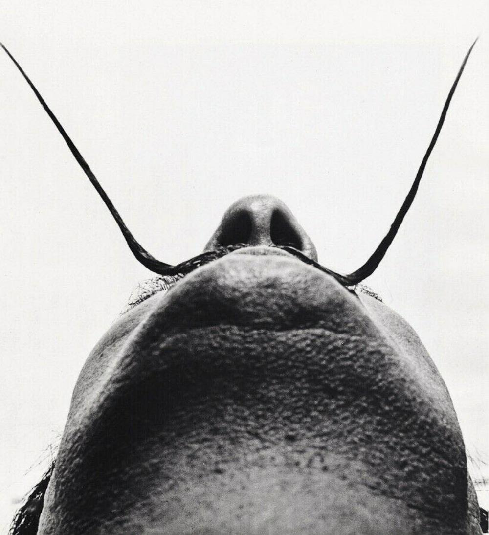 Philippe Halsman, 1954 SALAVADOR DALI Mustache (1 of 1)
