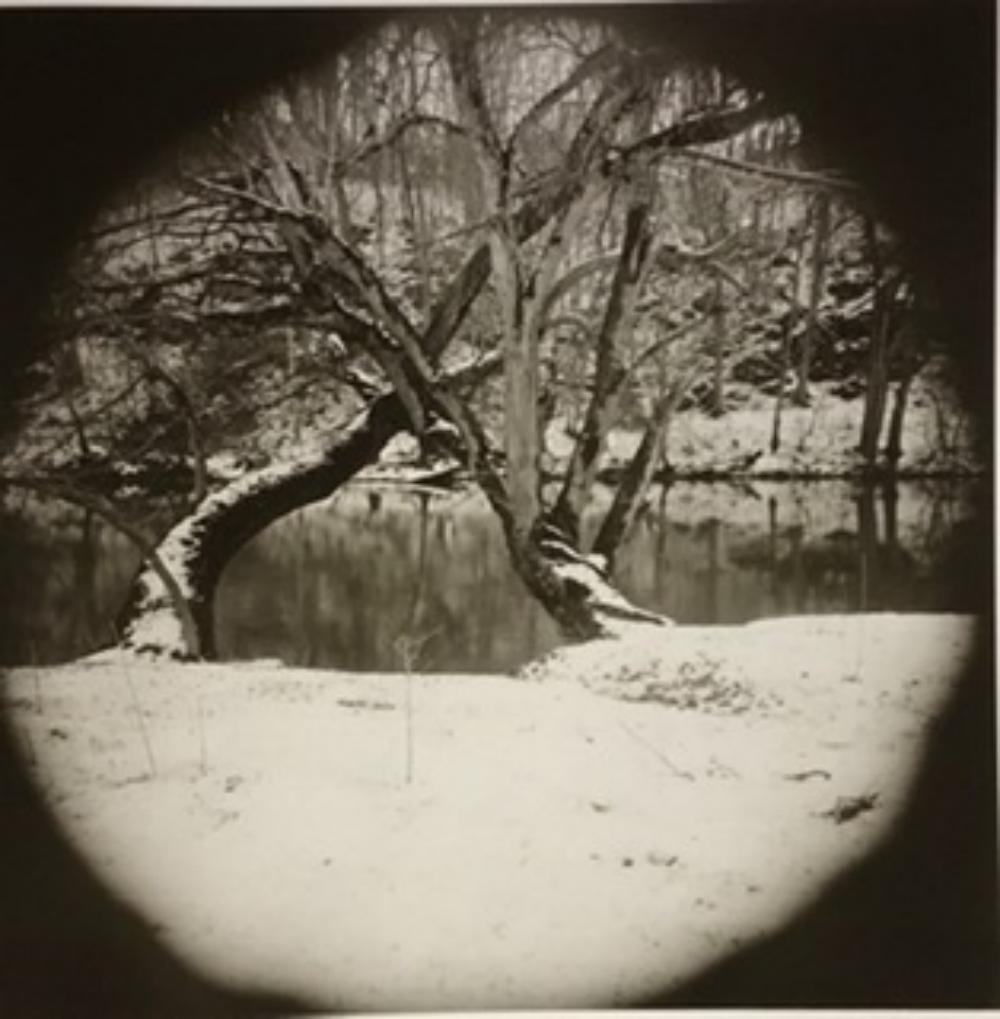 Sally Mann, #1 Landscape 1973: Photographer: Sally Mann is an American photographer, widely known for her large-format, black-and-white photographs—at first of her young children, then later of landscapes suggesting decay and dea