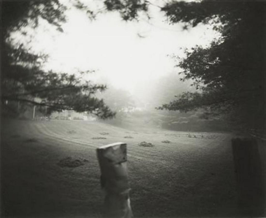 Sally Mann, Emmett at Halloween , 1988: Photographer: Sally Mann is an American photographer, widely known for her large-format, black-and-white photographs—at first of her young children, then later of landscapes suggesting decay and dea