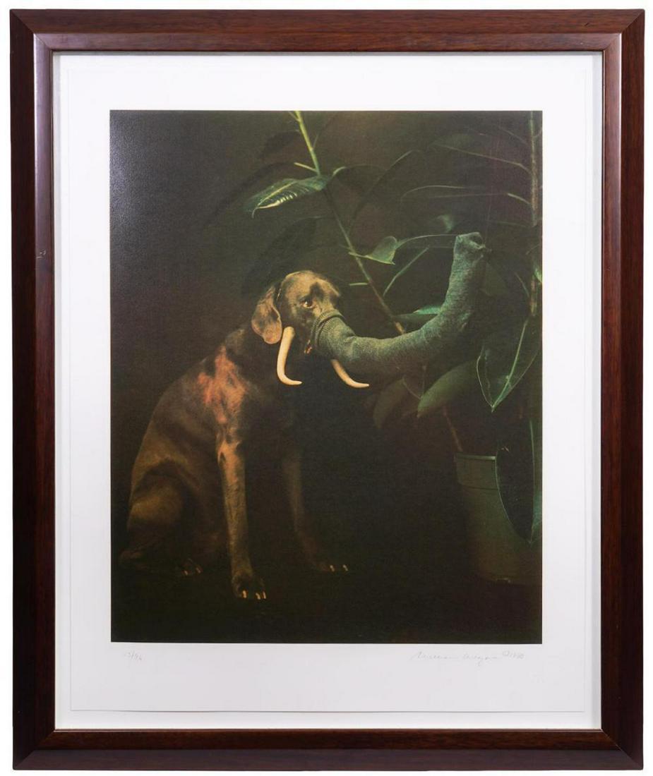 WILLIAM WEGMAN, Elephant 1988 SIGNED/# Silkscreen: William Wegman, American (Born 1943). 'Elephant' 1988. Color screen print, Hand signed, dated and numbered 13/96. Blind stamp below date. Paper is 33" H x 26" W, Framed 39.5" x 32". Minor Scuff on Fra