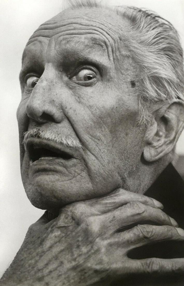 Herb Rits, Vincent Price - 1989: Photographer: Herbert "Herb" Ritts (American, 1952 - 2002) - renowned fashion, art and celebrity photographer. Subject: Vincent Price. Date Of Negative: 1989 Type Of Print: Fine Duotone Photo Engravin
