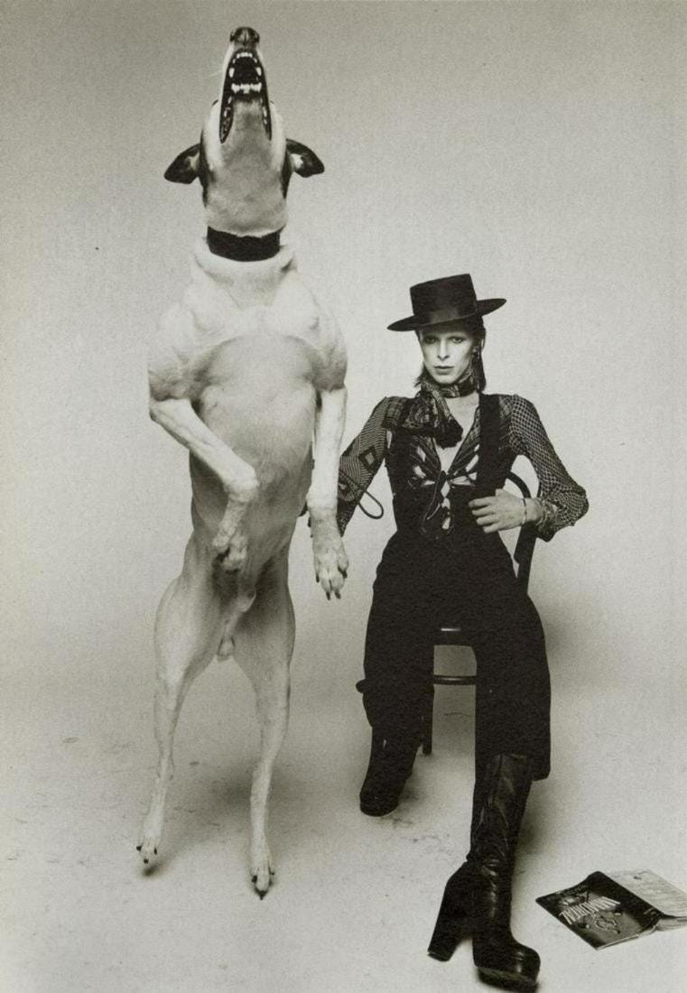 Terry O'Neill - David Bowie, Diamond Dogs - 1985 (1 of 1)