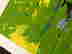 item-115569571=4