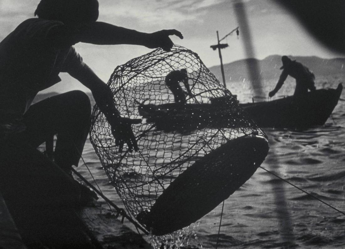 W. Eugene Smith, Fishing in Minamata bay, 1972: Photographer: Vivian Dorothy Maier, (1918-1978) William Eugene Smith was an American photojournalist. He has been described as "perhaps the single most important American photographer in the developme