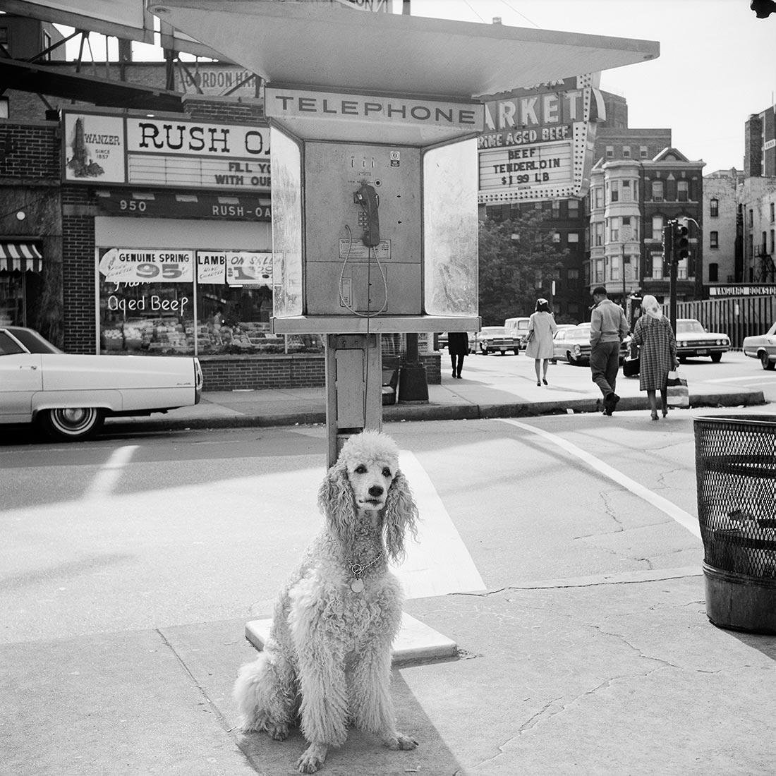 Vivian Maier, 1960s. Chicago, IL (1 of 1)