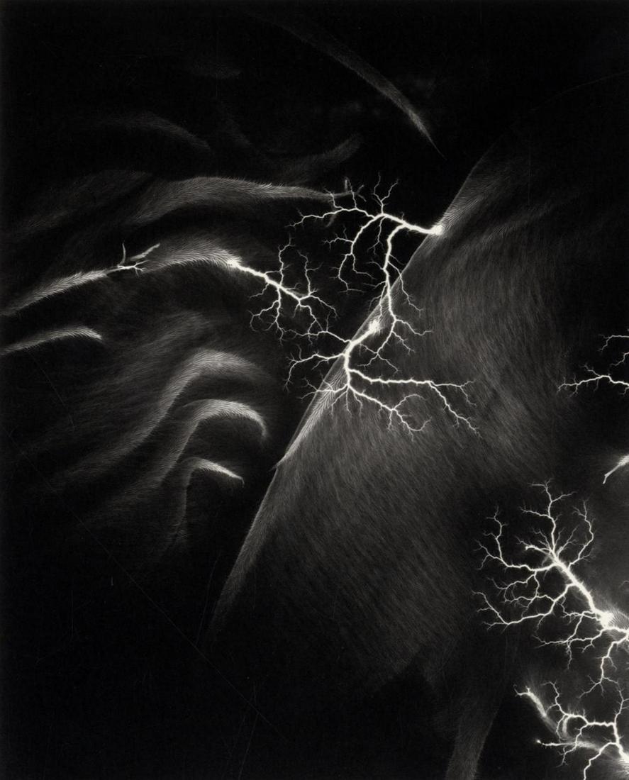Hiroshi Sugimoto,  Lightning Fields 147, 2009 Limited (1 of 1)