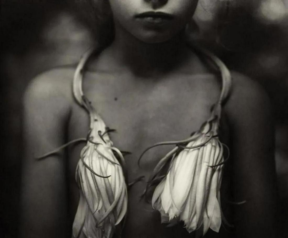 Sally Mann, Night blooming cereus, 1984: Photographer: Sally Mann is an American photographer, widely known for her large-format, black-and-white photographs at first of her young children, then later of landscapes suggesting decay and death