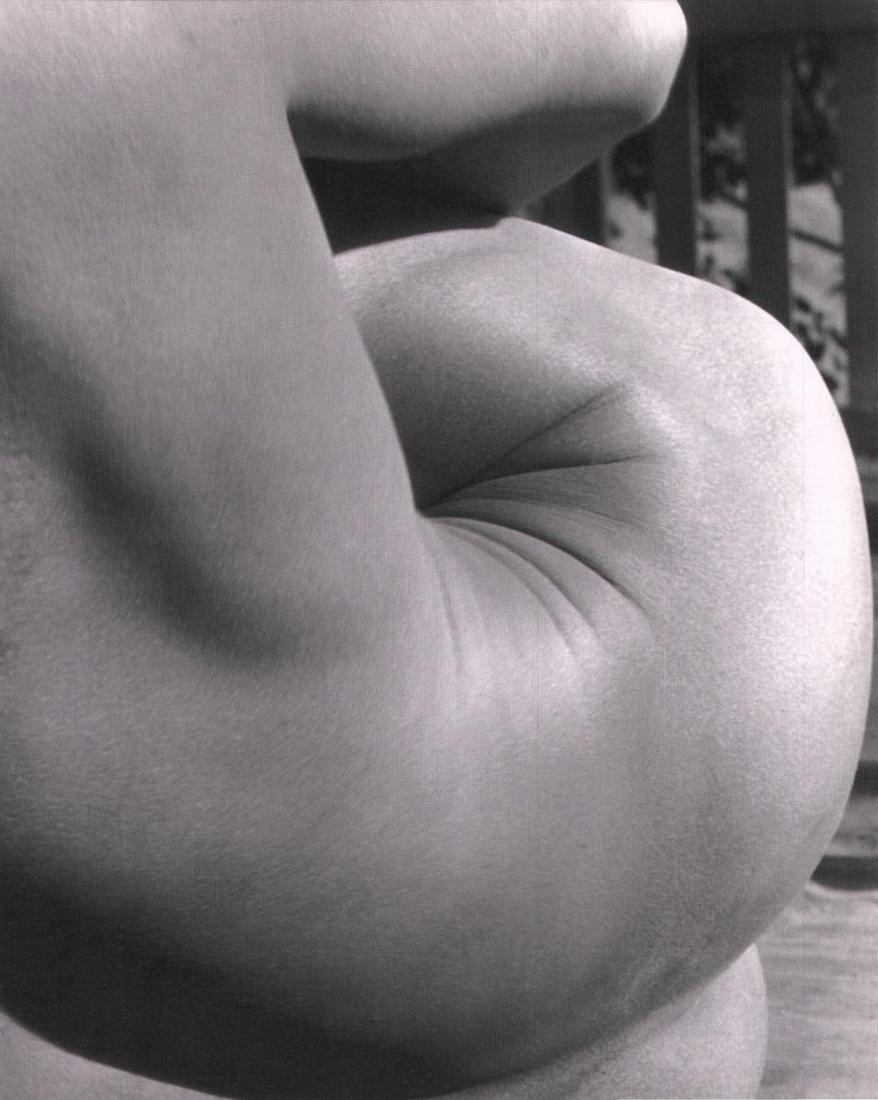 Imogen Cunningham, Untitled-Nude, C1940s: Photographer: Imogen Cunningham (American, 1883 - 1976). Famous for her nudes, botanical depictions, industrial images and portraits, Imogen Cunningham was one of the most prolific and important artis