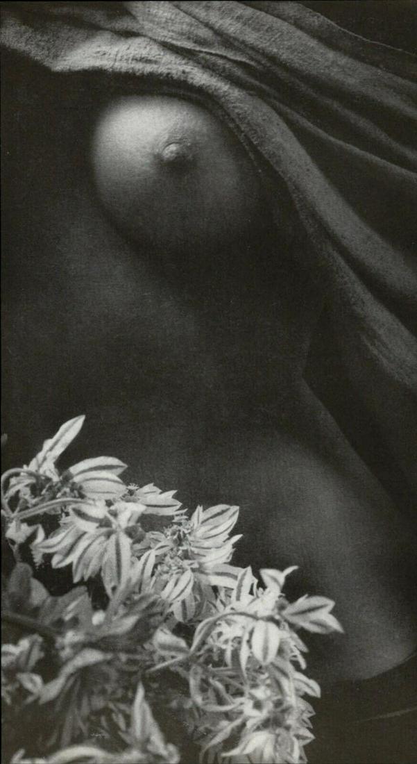 John Rawlings, Untitled, Nude, 1960s: Photographer: John Rawlings (American, 1912 - 1970) - photographer from the 1930's through the 1960's, John Rawlings was a major influence on mid-century fashion photography who also brought his uniqu