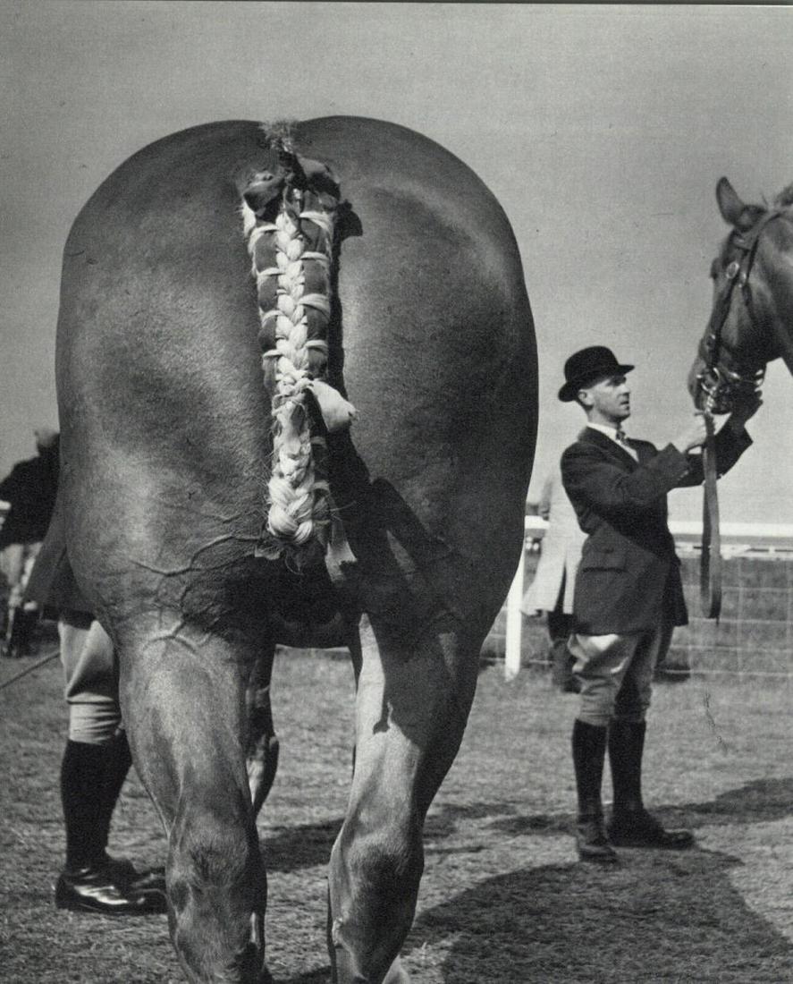 Brassai, The Royal Horse Show England, 1959: Photographer: Brassai (pseudonym of Gyula Halász, 1899 – 1984) - historically important Hungarian photographer, sculptor and filmmaker who rose to fame in France. Title: The Royal Horse Show Englan