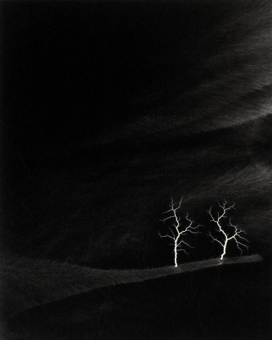 Hiroshi Sugimoto,  Lightning Fields 144, 2009 (1 of 1)