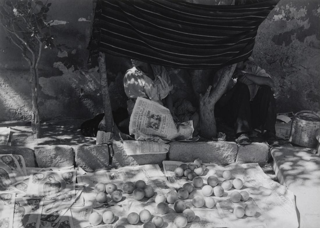 Manuel Álvarez Bravo, Set Trap, 1930s (1 of 1)