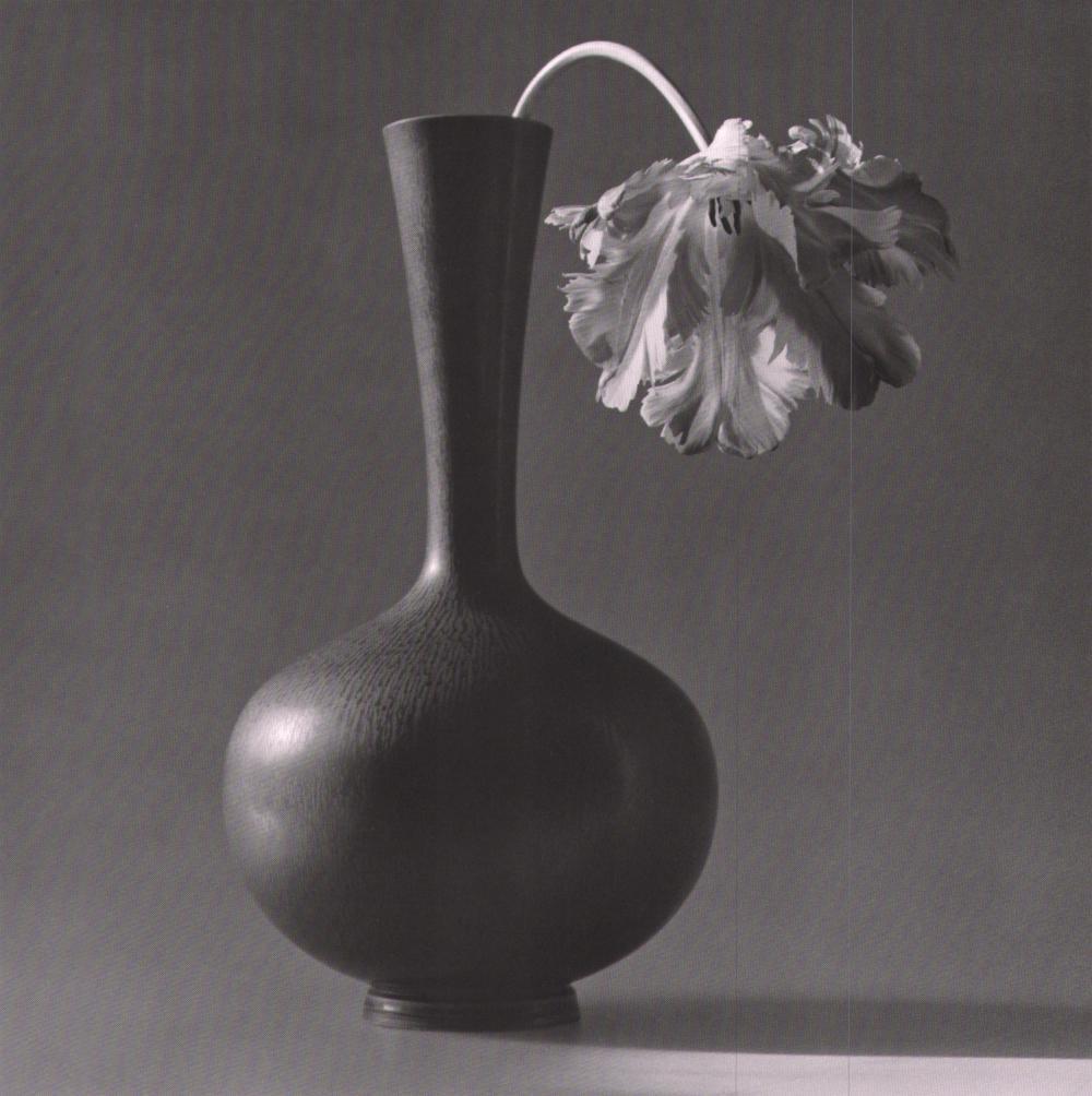 ROBERT MAPPLETHORPE- Parrot Tulip in Black Vase 1985 (1 of 1)