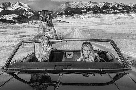 David Yarrow, No Country for Old Men, 2019 (1 of 1)