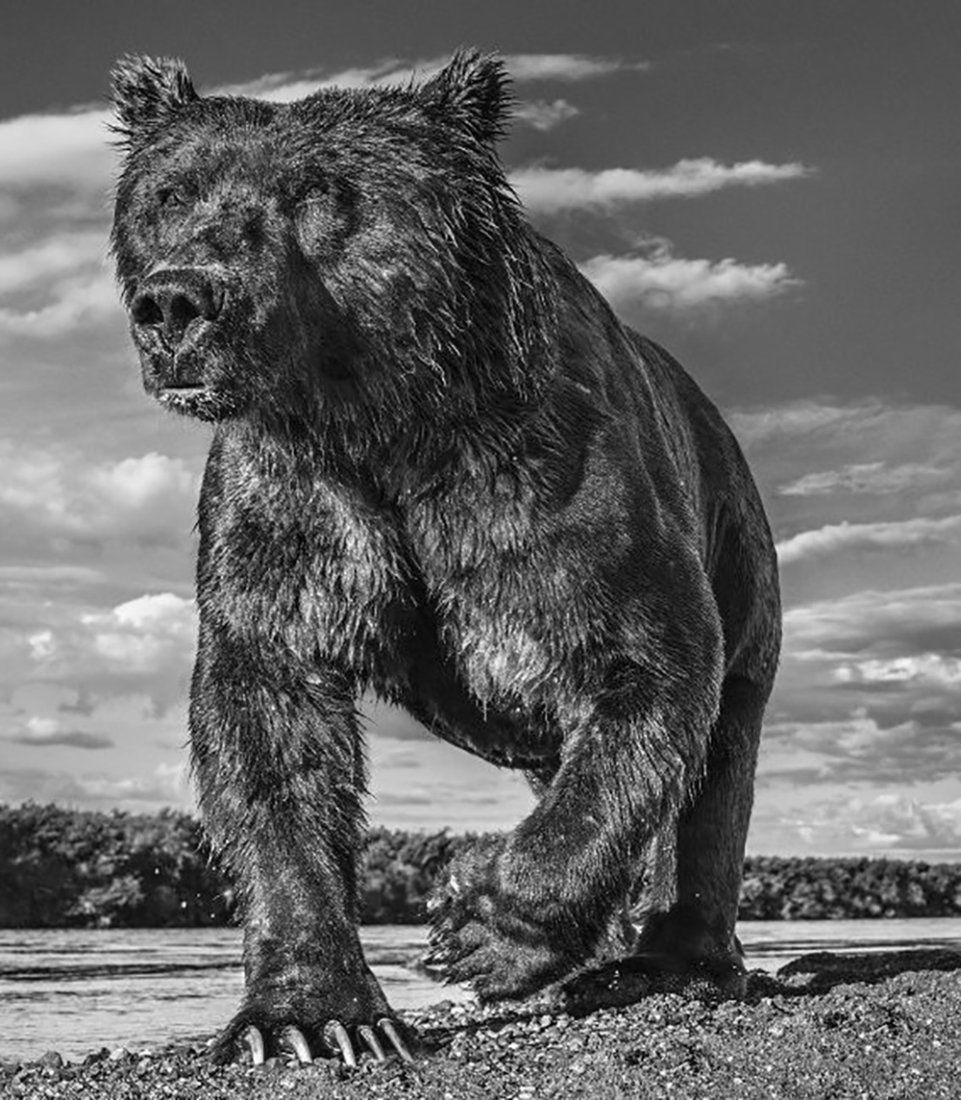 David Yarrow, The Fisher King, Alaska 2017 (1 of 1)