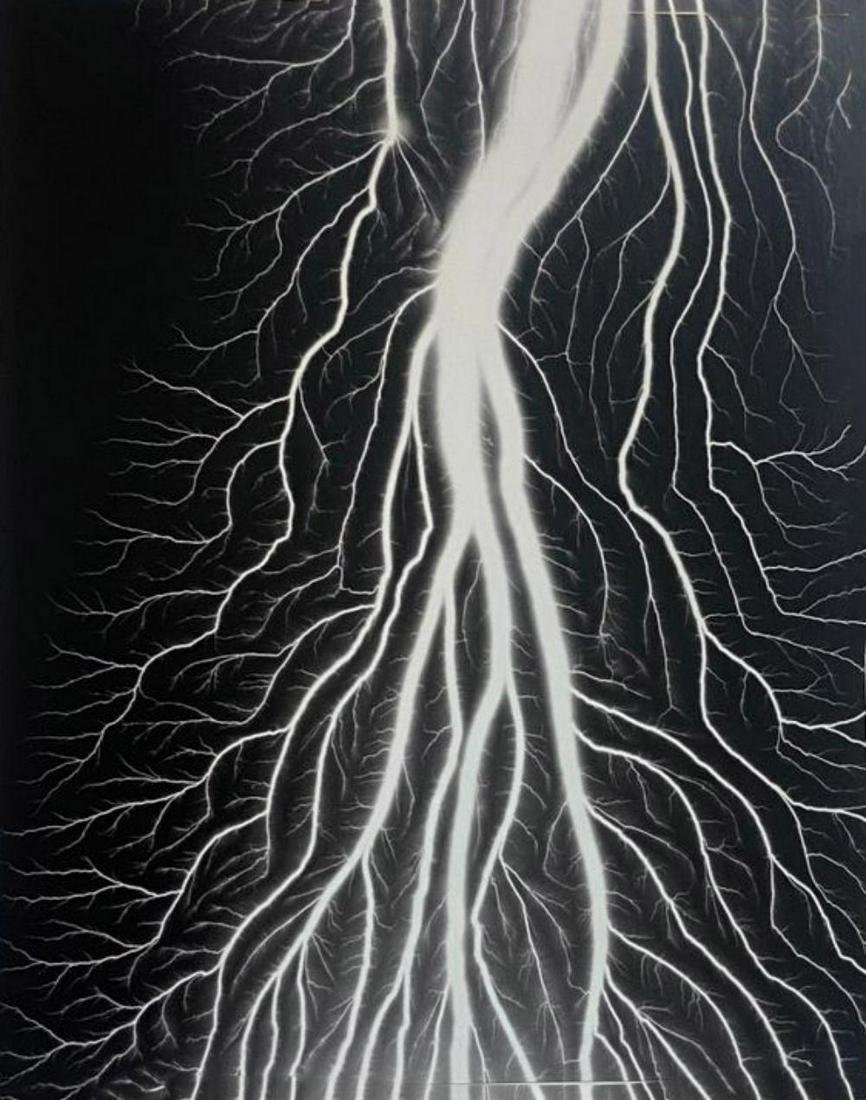 Hiroshi Sugimoto, Lightning Fields-237, 2009, Limited edition lithograph (1 of 1)