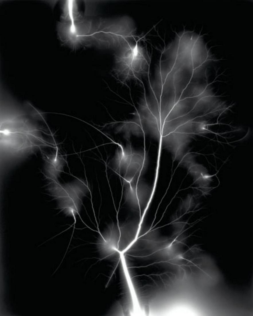 Hiroshi Sugimoto, Lightning Fields-013, 2006, Limited edition lithograph (1 of 1)