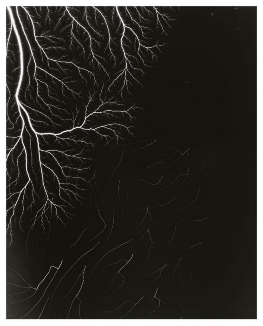 Hiroshi Sugimoto, Lightning Fields-162, 2009, Limited edition lithograph (1 of 1)