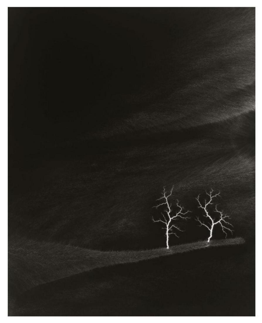 Hiroshi Sugimoto, Lightning Fields 144, 2009 Limited Edition of 360 (1 of 1)