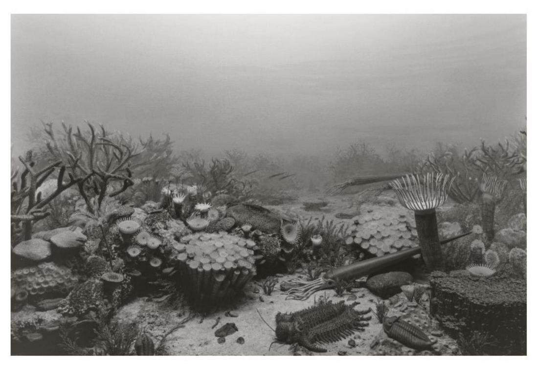 Hiroshi Sugimoto, Devonian Period, 1992, Limited edition of 360 (1 of 1)