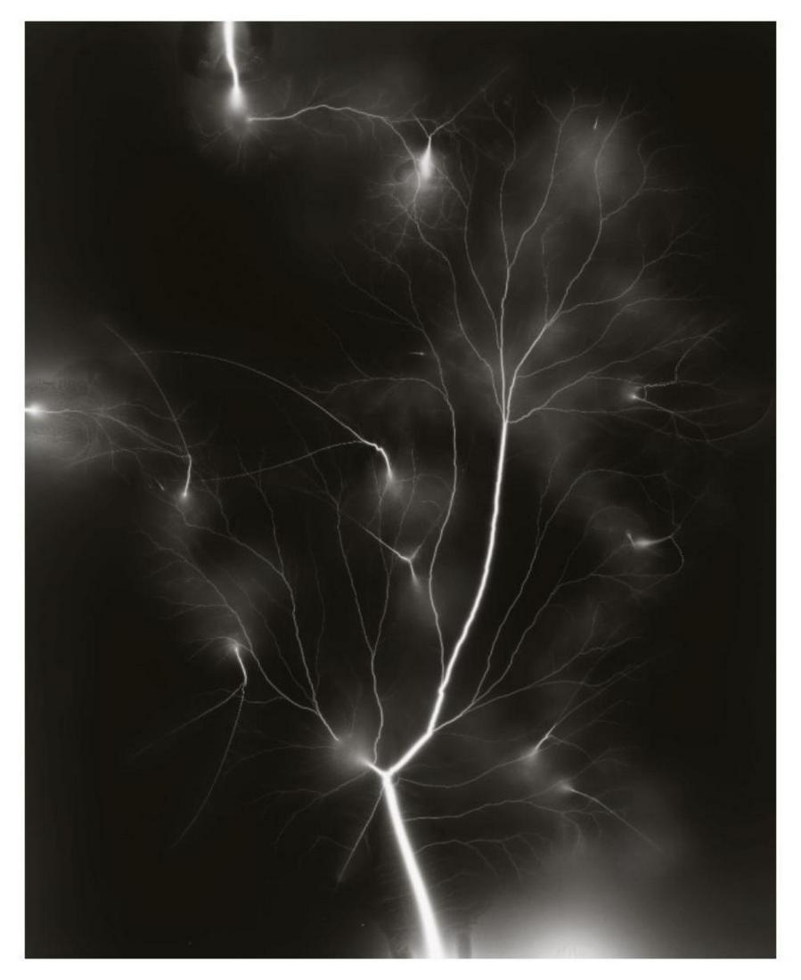 Hiroshi Sugimoto, Lightning Fields-013, 2006, Limited edition of 360 (1 of 1)