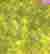 item-131413198=3