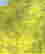 item-131413198=4