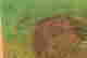 item-131413229=5
