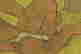 item-131413229=7