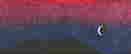 item-131413268=2