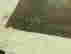item-131413269=3