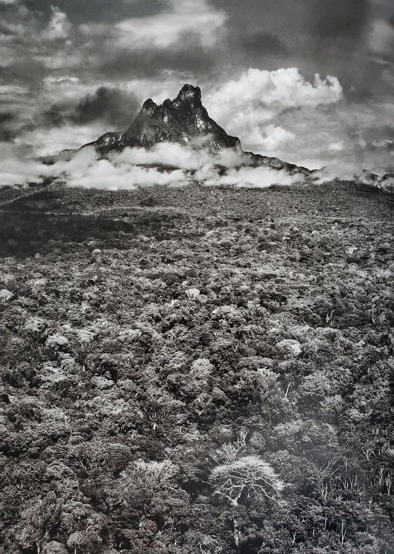 Sebastiao Salgado, From Genesis, 2013: Photographer: Sebastiao Ribeiro Salgado Junior is a Brazilian social documentary photographer and photojournalist. He has traveled to over 120 countries for his photographic projects. Most of these ha