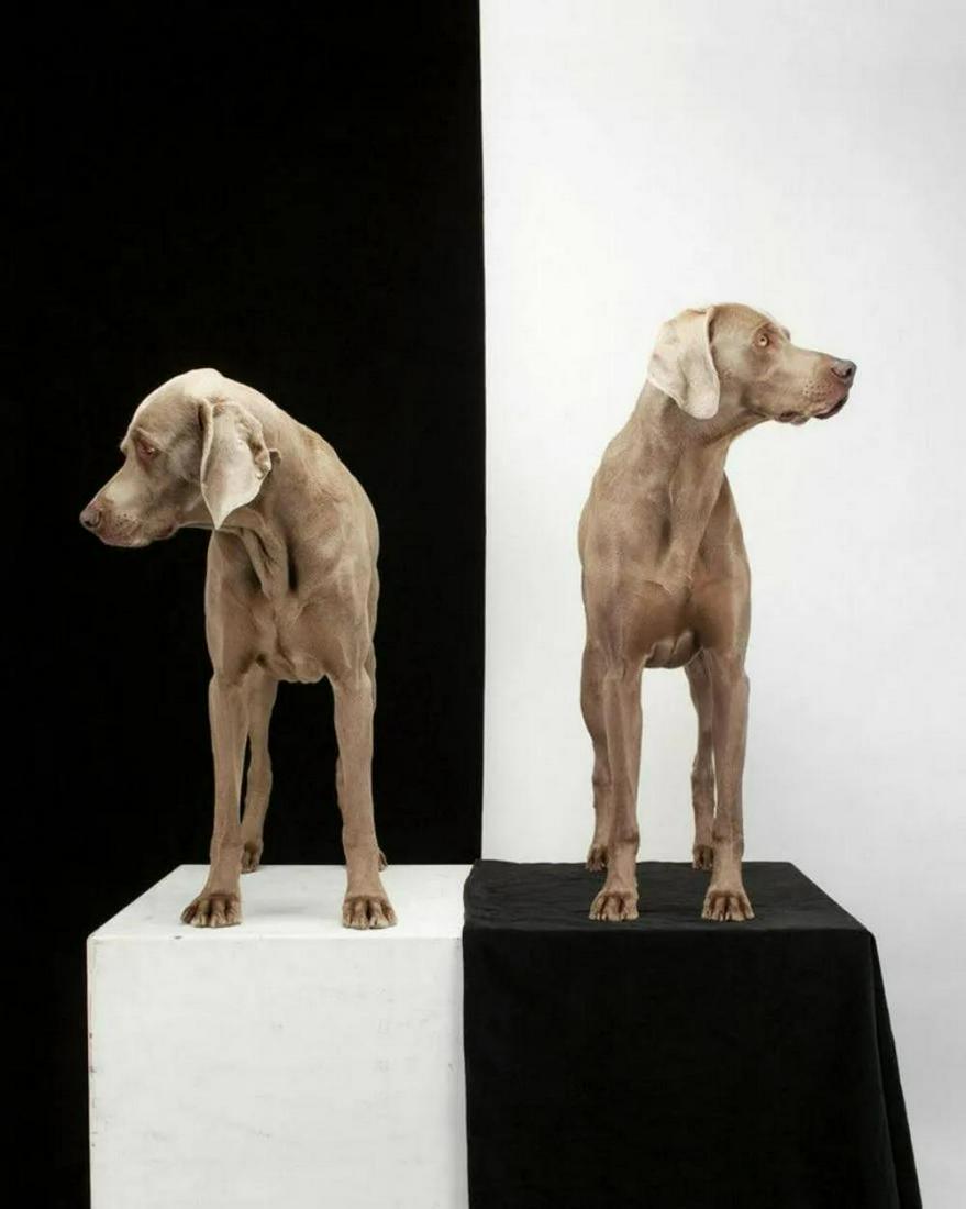 WILLIAM WEGMAN 'Game Board' 2003 SIGNED Limited Edition (1 of 3)