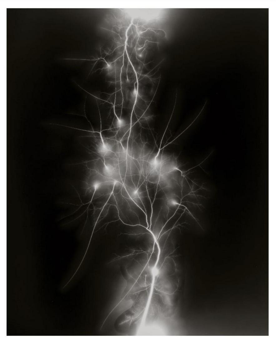 Hiroshi Sugimoto, Lightning Fields-011, 2007, Limited edition: Photographer: Hiroshi Sugimoto is a contemporary Japanese photographer whose esoteric practice explores memory and time. Using the intrinsic quality of long exposure photography, the artist provides i