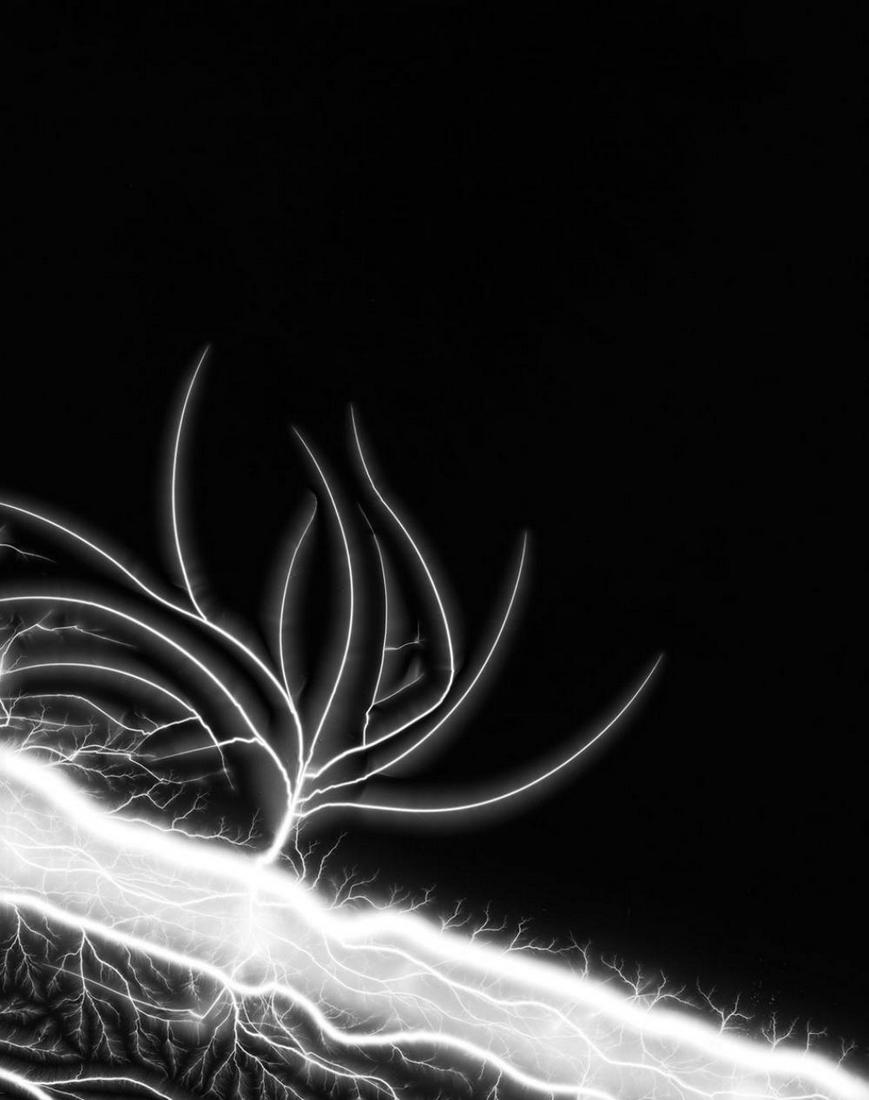 Hiroshi Sugimoto, Lightning Fields 289, 2014, Gelatin silver print, Signed Ed.25 (1 of 3)