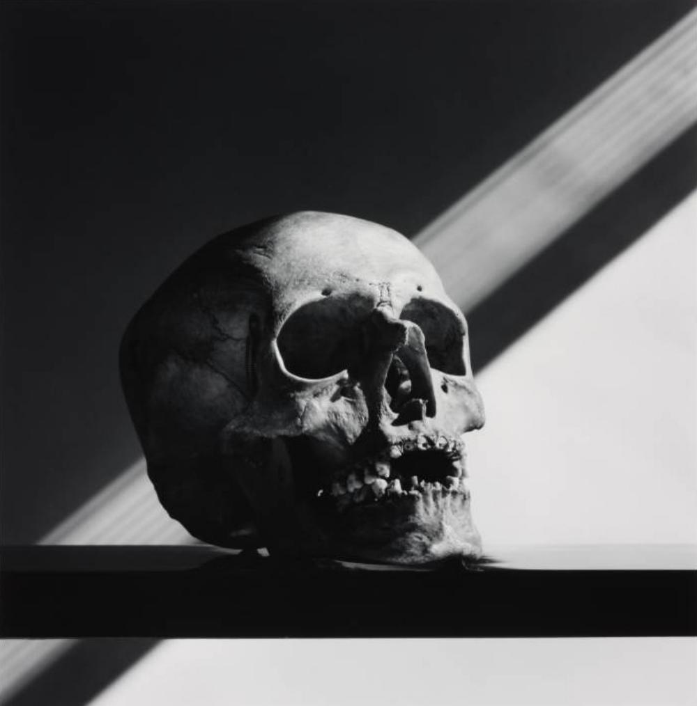 Robert Mapplethorpe, Skull 1988 (1 of 1)