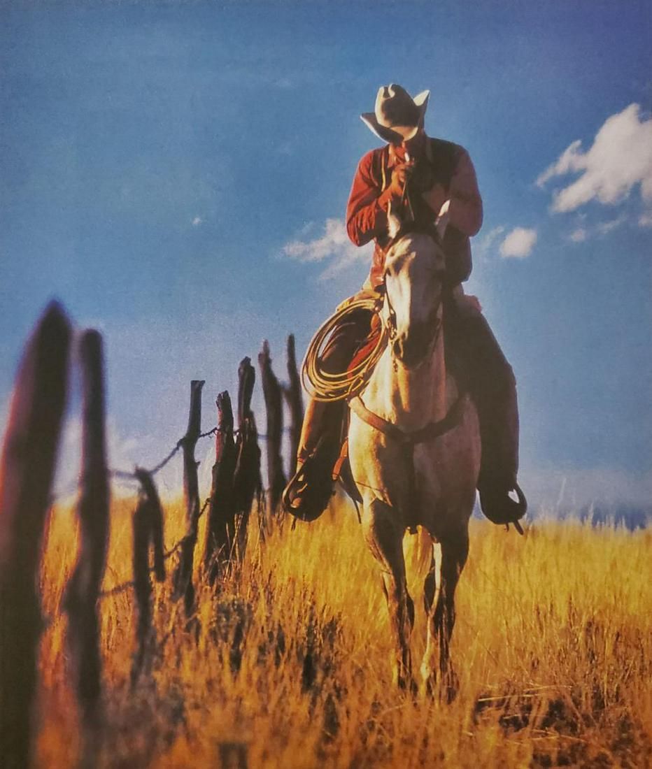 Richard Prince, Untitled (Cowboy) 2016 (1 of 1)